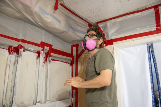 Reliable Upper Montclair, NJ Mold Inspection, Removal & Remediation Solutions